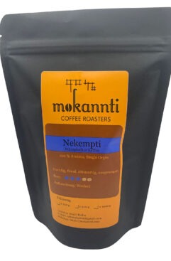 Nekempti